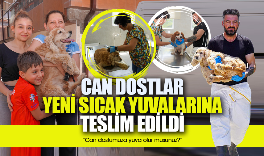 Sahiplendirilen can dostlar sıcak yuvalarına teslim edildi